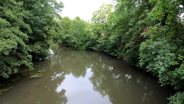 Vils river near Amberg with beet water after rain with bushes on the bank