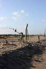 Skies of torre del lago, viareggio, tuscany