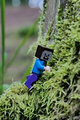 Obraz premium LEGO Minecraft figure of Steve climbing on tree trunk covered with dense moss foliage and some lichen. 