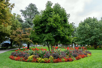 Fototapeta premium Blumen