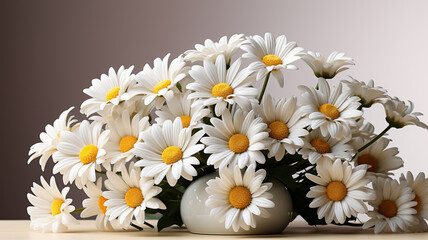 white daisies in the glass vase