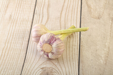 Two Young garlic over background