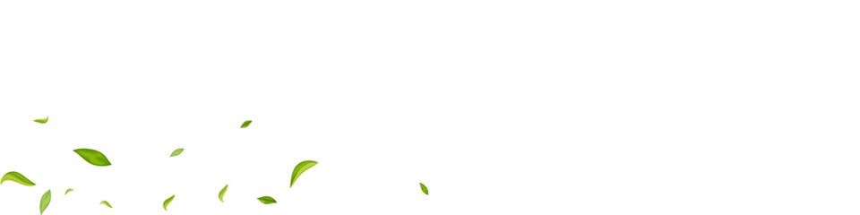 Forest Foliage Spring Vector White Panoramic