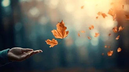 Fotobehang Autumn mental health. Embracing Change: person releasing Autumn falling leaf into the wind, signifying letting go and embracing transitions © irissca