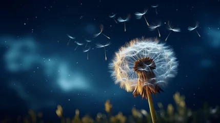 Fotobehang Illustration of a dandelion blowing in the wind on a night © NK