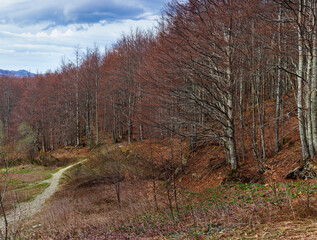 Landscape of Tuscan Emilian Apennines In Ventasso, Italy