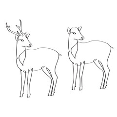 Single continuous line drawing of elegant cute male and female deer.
