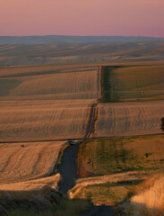 Walla Walla Washington Wheat Field Sunset