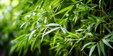 Bamboo plant background. Generative AI