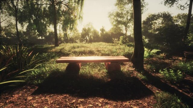 Vintage bench in the park under the morning rays of the sun