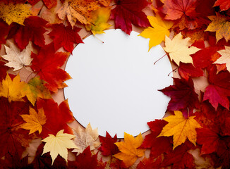 Naklejka na ściany i meble Maple Symphony: Stunning Fall Background