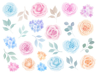 Set vintage elements of roses, collection garden flowers, leaves, Vector illustration eucalyptus, herbs. bud and leaf