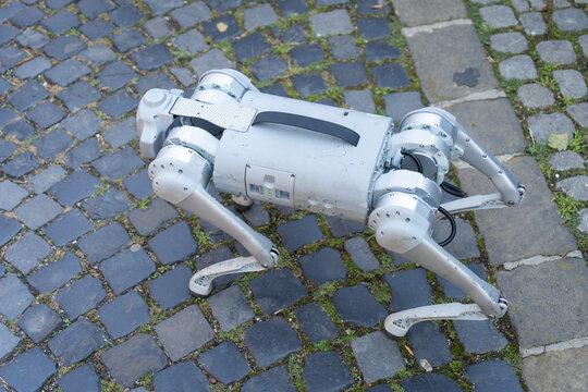 Gray military robot dog at a demonstration