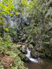 Waterfall  on Cerna valley , in Caras Severin county, near Cerna Sat. 
