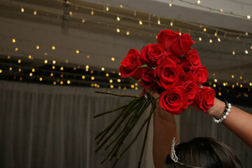  Hermoso ramo de rosas rojas en una mano de mujer sobre fondo blanco - obrazy, fototapety, plakaty