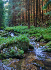 A small waterfall in the forest near Králický Sněžník mountain.
