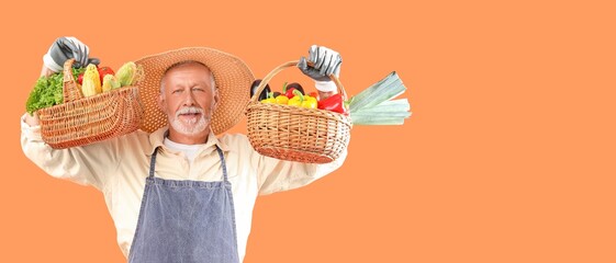 Mature male farmer with wicker baskets full of different vegetables on orange background with space for text