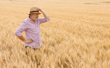 Naklejka na ściany i meble Proud Caucasian farmer in his 50s tending to a barley crop in the agricultural field