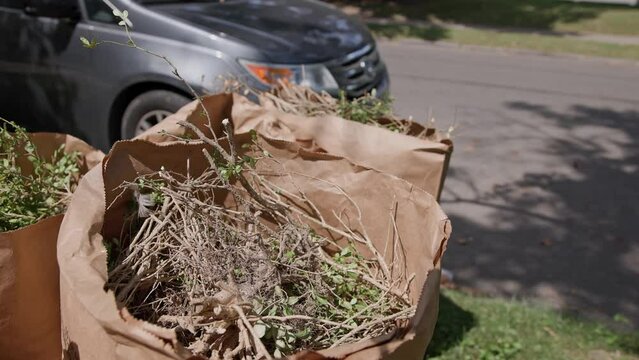 Handheld slow motion of dead sticks, tree branches, autumn leaves, and yard trash in brown paper bags on suburban house sidewalk by road to be recycled and trashed by truck