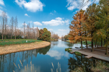 autumn landscape with lake and trees
