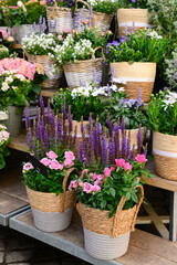 Baskets with beautiful flowers on street market