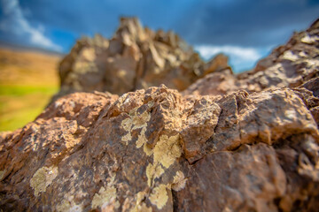 Wonderful nature in the day life, North of Iraq