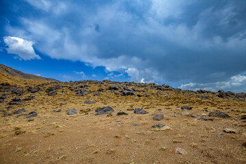 Wonderful nature in the day life, North of Iraq
