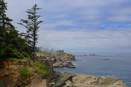 Dramatic Oregon coast at Shore Acres State Park