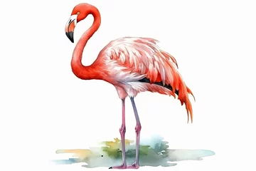 Fotobehang Pink flamingo on a white background. Illustration © Canvas Alchemy