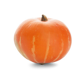 Fresh pumpkin on white background