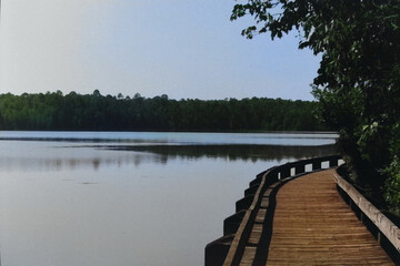 Fototapeta premium wooden bridge over lake