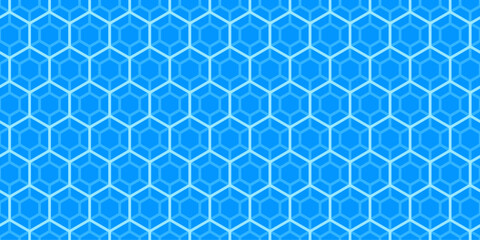 Fototapeta na wymiar Blue Hexagonal Vector Pattern Background. Honeycomb Abstract. Soccer Or Football Net.