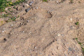 River sand which is used in construction works