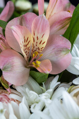 used to create a bouquet of old flowers with defects