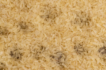 a large amount of uncooked fresh polished rice