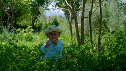 Cute baby sitting on a grass holding an apple in his hands