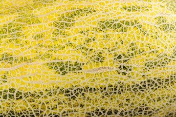 yellow-green peel of ripe fresh melon close-up