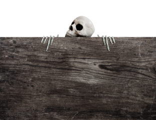 Skull Holding A Wooden Sign PNG Transparent Background