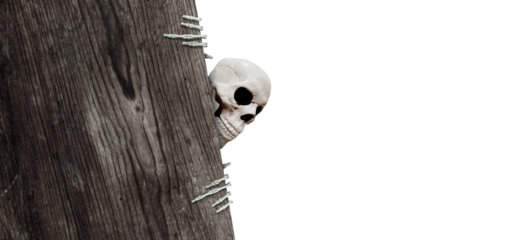 Skull Holding A Wooden Sign PNG Transparent Background