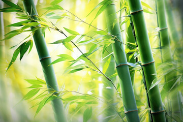 A vibrant and lively scene of a bamboo gentle light background with a burst of spring colors. Fresh green bamboo shoots are bathed in soft sunlight, casting intricate shadows through the