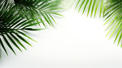A vibrant and energetic summer background with the bright sunlight casting intricate shadows of palm tree leaves on a minimalistic white surface. The interplay of bold greens and whites