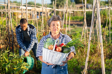 Smiling aged female gardener holding fresh greens and vegetables grown in her home garden