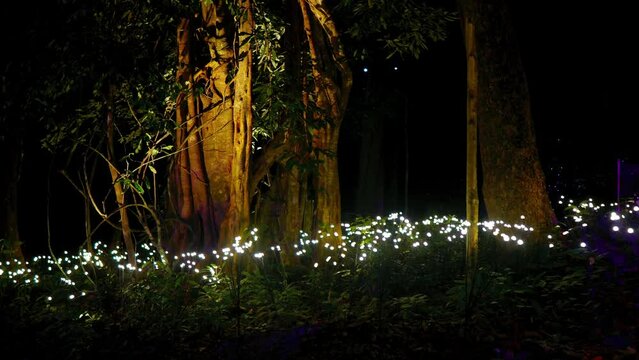 Bioluminescent plants swaying and glowing in the dark night in dreamy mesmerizing mysterious avatar-like illuminated mythical otherworldly fairy forest world landscape of Dream Forest Langkawi. Loop