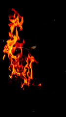 burning fire on a dark background