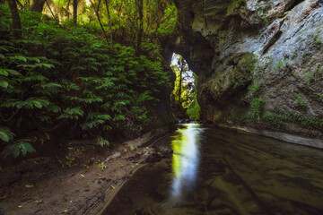 stream in the forest with stone arch in the background