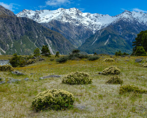 Grassy field with snow capped mountains in the background