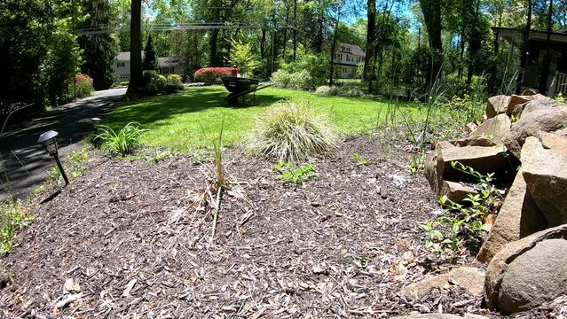 time-lapse of woman mowing the lawn in the garden in the spring