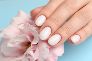 Obraz na płótnie Canvas Woman with white nail polish touching pink eustoma flower on light blue background, closeup