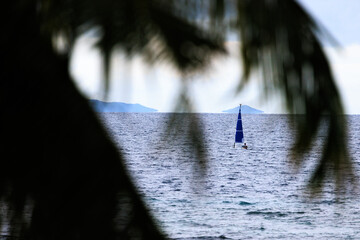 blue sail boat behind palm trees fiji