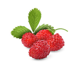 Fresh ripe wild strawberries with green leaves isolated on white